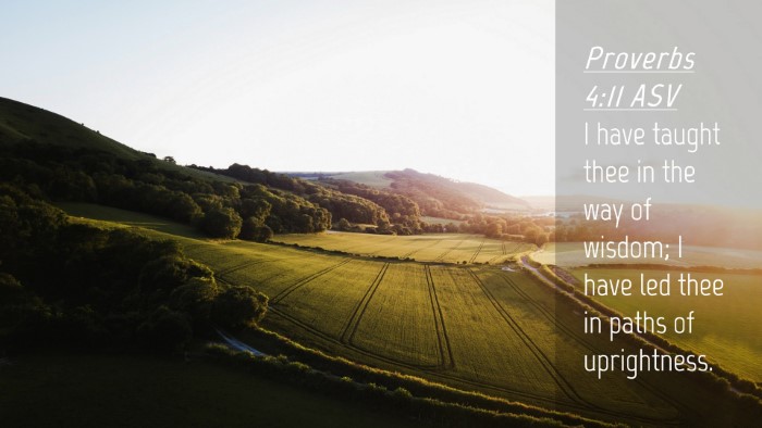 Picture 04 - Proverbs 4:11 ASV Desktop Wallpaper - I have taught thee in the way of wisdom; I have - Desktop Bible Verse Wallpaper
