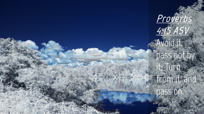 Picture 04 - Proverbs 4:15 ASV Desktop Wallpaper - Avoid it, pass not by it; Turn from it, and pass - Desktop Bible Verse Wallpaper