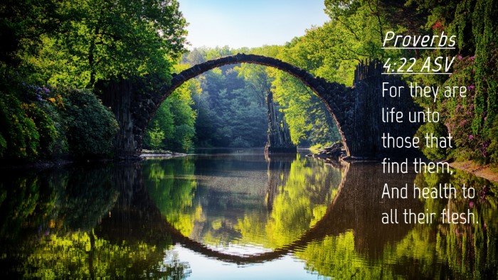 Picture 04 - Proverbs 4:22 ASV Desktop Wallpaper - For they are life unto those that find them, And - Desktop Bible Verse Wallpaper