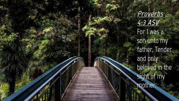 Picture 04 - Proverbs 4:3 ASV Desktop Wallpaper - For I was a son unto my father, Tender and only - Desktop Bible Verse Wallpaper
