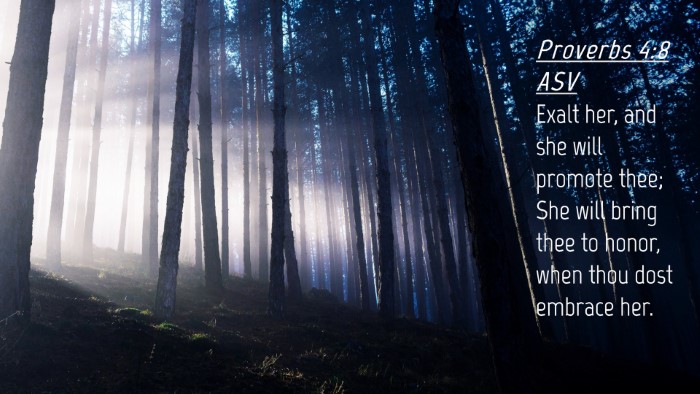 Picture 04 - Proverbs 4:8 ASV Desktop Wallpaper - Exalt her, and she will promote thee; She will - Desktop Bible Verse Wallpaper