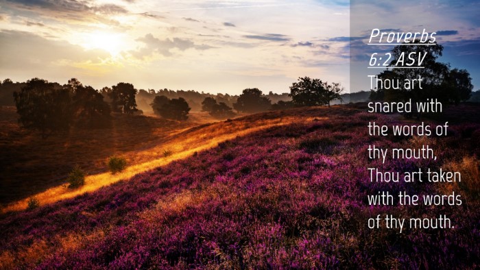 Picture 04 - Proverbs 6:2 ASV Desktop Wallpaper - Thou art snared with the words of thy mouth, Thou - Desktop Bible Verse Wallpaper