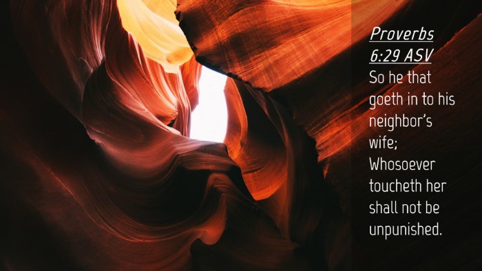 Picture 04 - Proverbs 6:29 ASV Desktop Wallpaper - So he that goeth in to his neighbor's wife; - Desktop Bible Verse Wallpaper