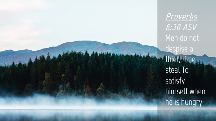 Picture 04 - Proverbs 6:30 ASV Desktop Wallpaper - Men do not despise a thief, if he steal To - Desktop Bible Verse Wallpaper