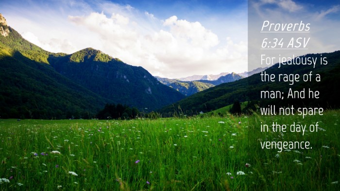 Picture 04 - Proverbs 6:34 ASV Desktop Wallpaper - For jealousy is the rage of a man; And he will - Desktop Bible Verse Wallpaper