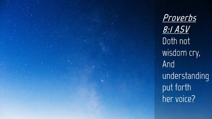 Picture 04 - Proverbs 8:1 ASV Desktop Wallpaper - Doth not wisdom cry, And understanding put forth - Desktop Bible Verse Wallpaper