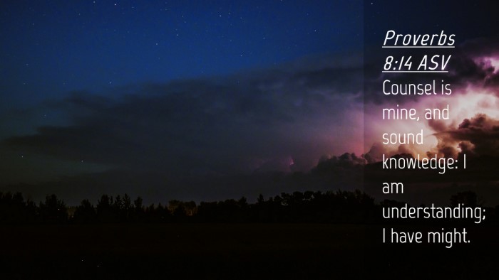 Picture 04 - Proverbs 8:14 ASV Desktop Wallpaper - Counsel is mine, and sound knowledge: I am - Desktop Bible Verse Wallpaper