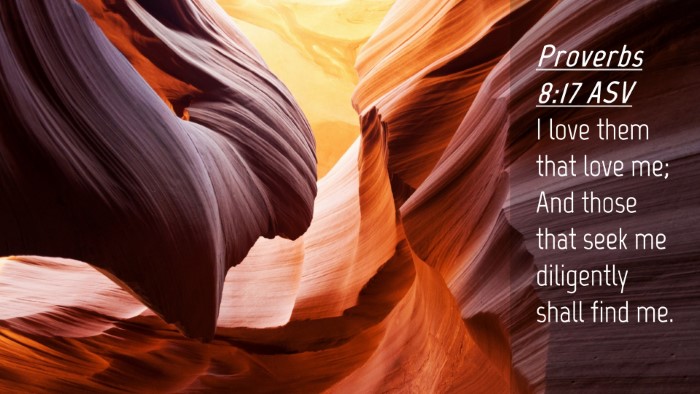 Picture 04 - Proverbs 8:17 ASV Desktop Wallpaper - I love them that love me; And those that seek me - Desktop Bible Verse Wallpaper
