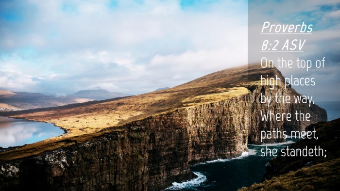 Picture 04 - Proverbs 8:2 ASV Desktop Wallpaper - On the top of high places by the way, Where the - Desktop Bible Verse Wallpaper