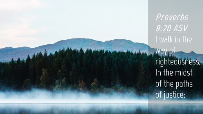Picture 04 - Proverbs 8:20 ASV Desktop Wallpaper - I walk in the way of righteousness, In the midst - Desktop Bible Verse Wallpaper