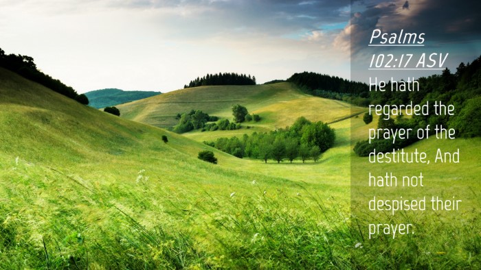 Picture 04 - Psalms 102:17 ASV Desktop Wallpaper - He hath regarded the prayer of the destitute, And - Desktop Bible Verse Wallpaper