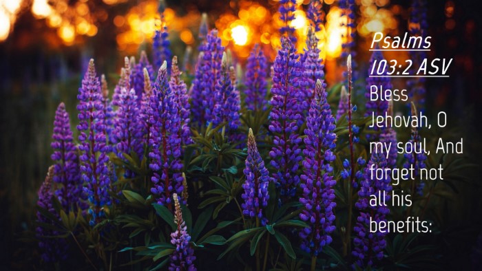 Picture 04 - Psalms 103:2 ASV Desktop Wallpaper - Bless Jehovah, O my soul, And forget not all his - Desktop Bible Verse Wallpaper
