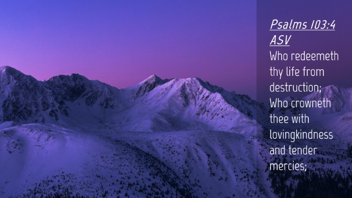 Picture 04 - Psalms 103:4 ASV Desktop Wallpaper - Who redeemeth thy life from destruction; Who - Desktop Bible Verse Wallpaper