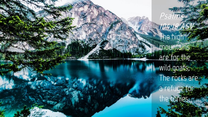 Picture 04 - Psalms 104:18 ASV Desktop Wallpaper - The high mountains are for the wild goats; The - Desktop Bible Verse Wallpaper