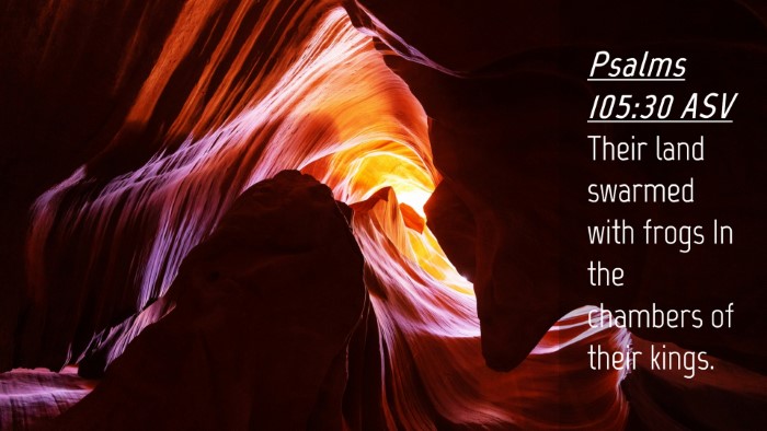 Picture 04 - Psalms 105:30 ASV Desktop Wallpaper - Their land swarmed with frogs In the chambers of - Desktop Bible Verse Wallpaper
