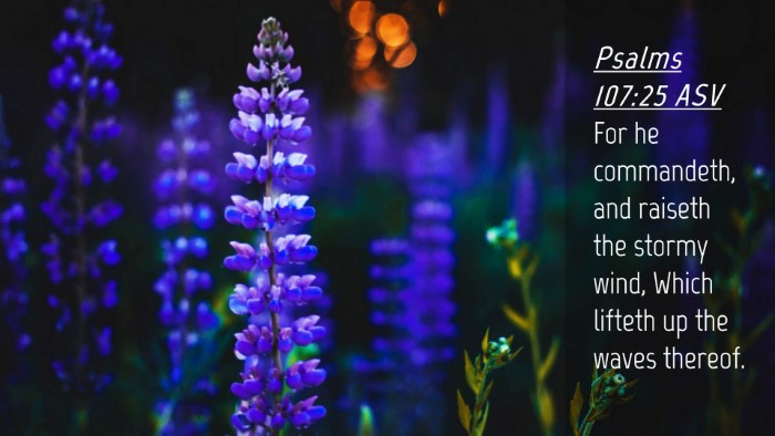 Picture 04 - Psalms 107:25 ASV Desktop Wallpaper - For he commandeth, and raiseth the stormy wind, - Desktop Bible Verse Wallpaper