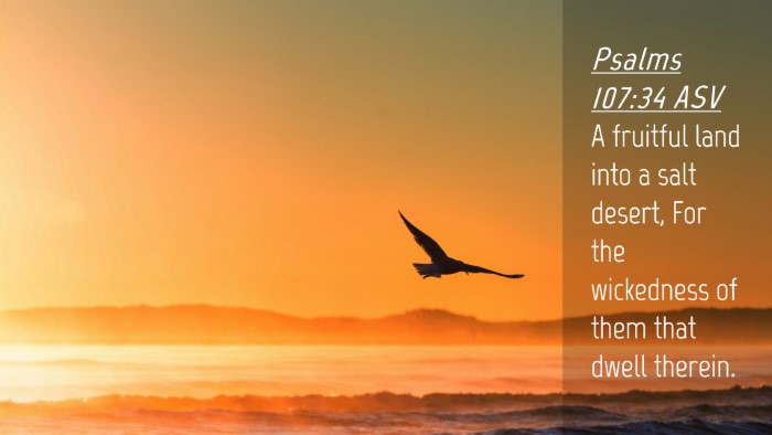 Picture 04 - Psalms 107:34 ASV Desktop Wallpaper - A fruitful land into a salt desert, For the - Desktop Bible Verse Wallpaper