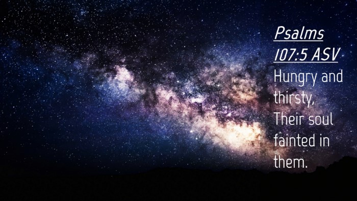 Picture 04 - Psalms 107:5 ASV Desktop Wallpaper - Hungry and thirsty, Their soul fainted in - Desktop Bible Verse Wallpaper