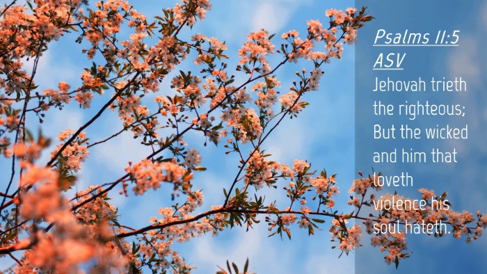 Picture 04 - Psalms 11:5 ASV Desktop Wallpaper - Jehovah trieth the righteous; But the wicked and - Desktop Bible Verse Wallpaper