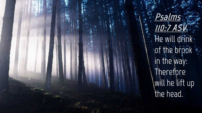 Picture 04 - Psalms 110:7 ASV Desktop Wallpaper - He will drink of the brook in the way: Therefore - Desktop Bible Verse Wallpaper