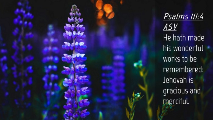 Picture 04 - Psalms 111:4 ASV Desktop Wallpaper - He hath made his wonderful works to be - Desktop Bible Verse Wallpaper