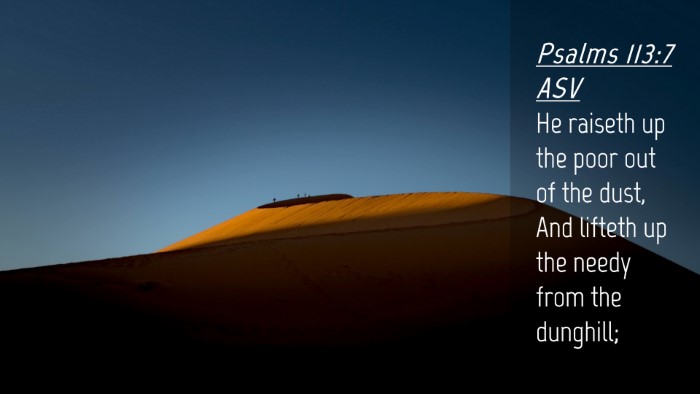 Picture 04 - Psalms 113:7 ASV Desktop Wallpaper - He raiseth up the poor out of the dust, And - Desktop Bible Verse Wallpaper