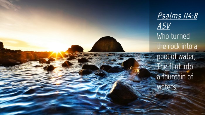 Picture 04 - Psalms 114:8 ASV Desktop Wallpaper - Who turned the rock into a pool of water, The - Desktop Bible Verse Wallpaper