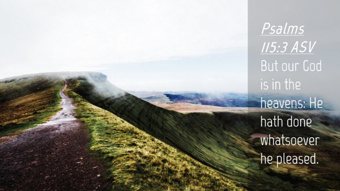 Picture 04 - Psalms 115:3 ASV Desktop Wallpaper - But our God is in the heavens: He hath done - Desktop Bible Verse Wallpaper