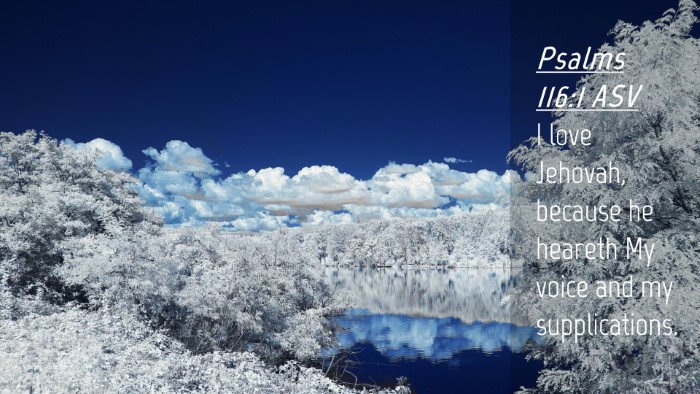 Picture 04 - Psalms 116:1 ASV Desktop Wallpaper - I love Jehovah, because he heareth My voice and - Desktop Bible Verse Wallpaper
