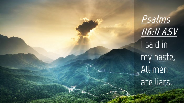 Picture 04 - Psalms 116:11 ASV Desktop Wallpaper - I said in my haste, All men are - Desktop Bible Verse Wallpaper