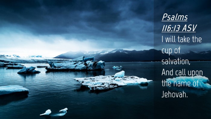 Picture 04 - Psalms 116:13 ASV Desktop Wallpaper - I will take the cup of salvation, And call upon - Desktop Bible Verse Wallpaper