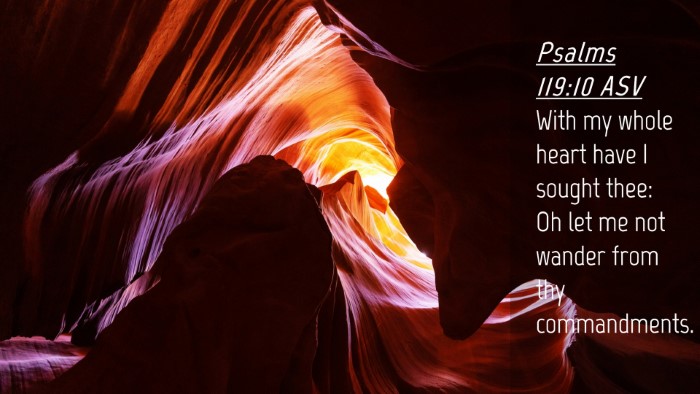 Picture 04 - Psalms 119:10 ASV Desktop Wallpaper - With my whole heart have I sought thee: Oh let me - Desktop Bible Verse Wallpaper