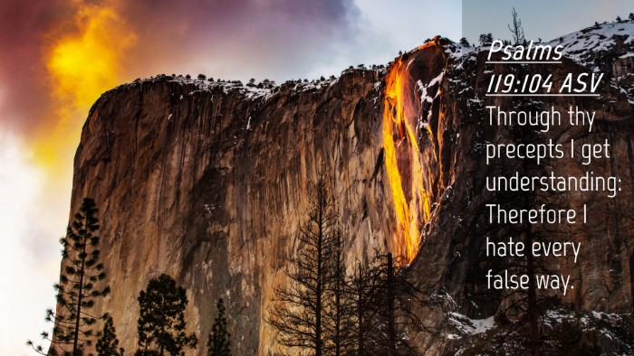 Picture 04 - Psalms 119:104 ASV Desktop Wallpaper - Through thy precepts I get understanding: - Desktop Bible Verse Wallpaper