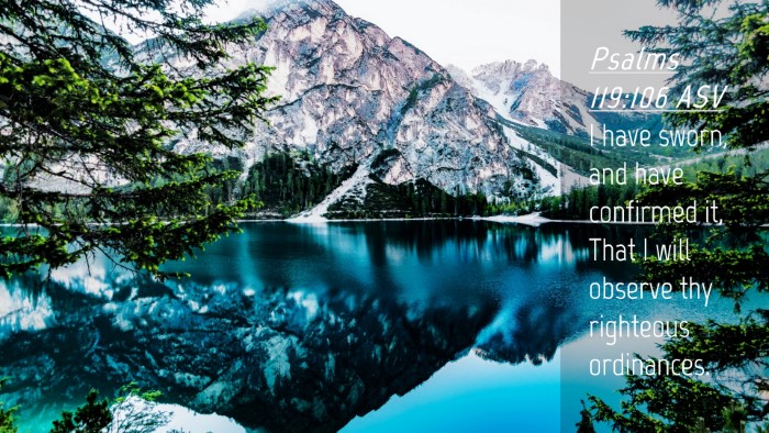 Picture 04 - Psalms 119:106 ASV Desktop Wallpaper - I have sworn, and have confirmed it, That I will - Desktop Bible Verse Wallpaper