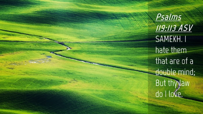 Picture 04 - Psalms 119:113 ASV Desktop Wallpaper - SAMEKH. I hate them that are of a double mind; - Desktop Bible Verse Wallpaper