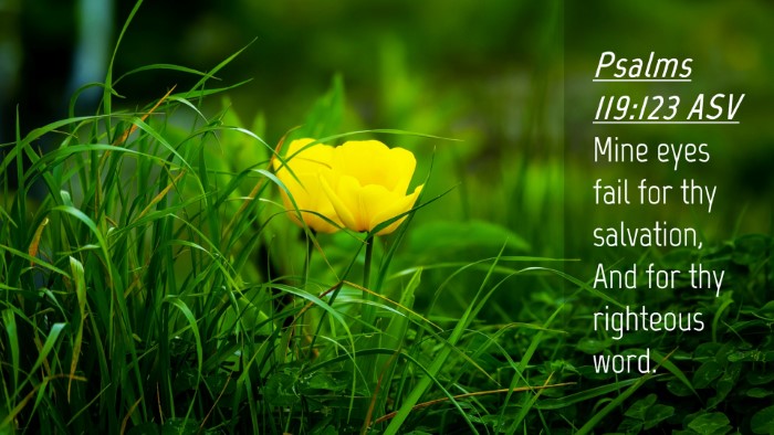 Picture 04 - Psalms 119:123 ASV Desktop Wallpaper - Mine eyes fail for thy salvation, And for thy - Desktop Bible Verse Wallpaper