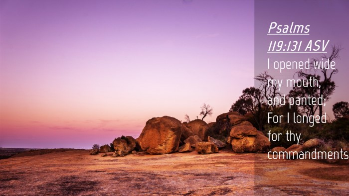 Picture 04 - Psalms 119:131 ASV Desktop Wallpaper - I opened wide my mouth, and panted; For I longed - Desktop Bible Verse Wallpaper