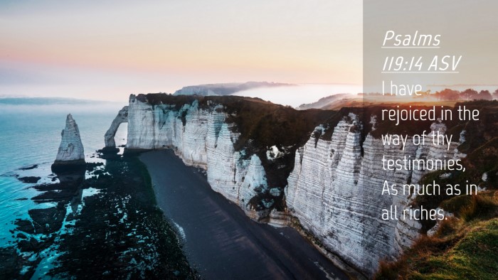 Picture 04 - Psalms 119:14 ASV Desktop Wallpaper - I have rejoiced in the way of thy testimonies, As - Desktop Bible Verse Wallpaper