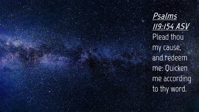 Picture 04 - Psalms 119:154 ASV Desktop Wallpaper - Plead thou my cause, and redeem me: Quicken me - Desktop Bible Verse Wallpaper