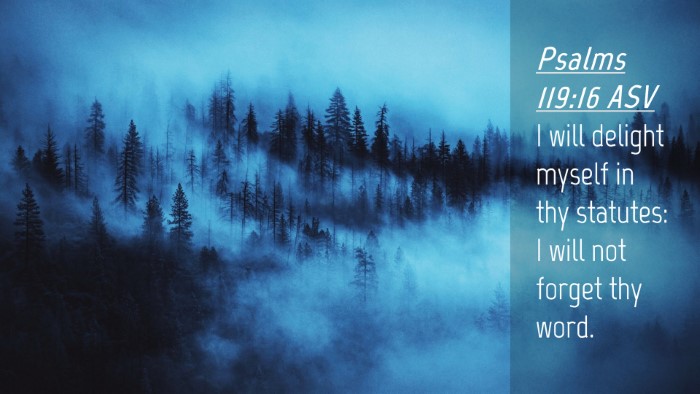 Picture 04 - Psalms 119:16 ASV Desktop Wallpaper - I will delight myself in thy statutes: I will not - Desktop Bible Verse Wallpaper