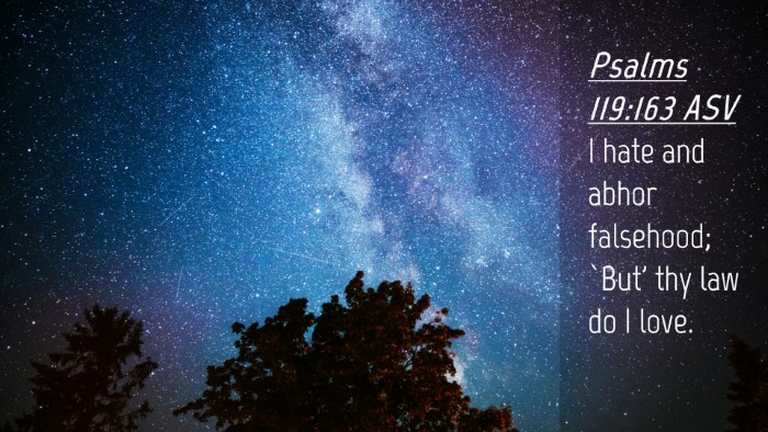 Picture 04 - Psalms 119:163 ASV Desktop Wallpaper - I hate and abhor falsehood; `But' thy law do I - Desktop Bible Verse Wallpaper