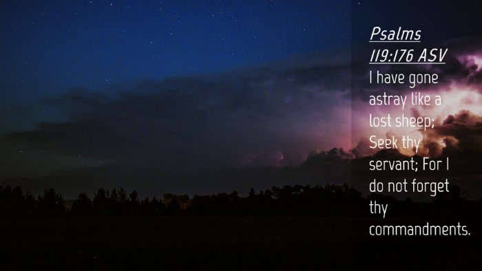 Picture 04 - Psalms 119:176 ASV Desktop Wallpaper - I have gone astray like a lost sheep; Seek thy - Desktop Bible Verse Wallpaper