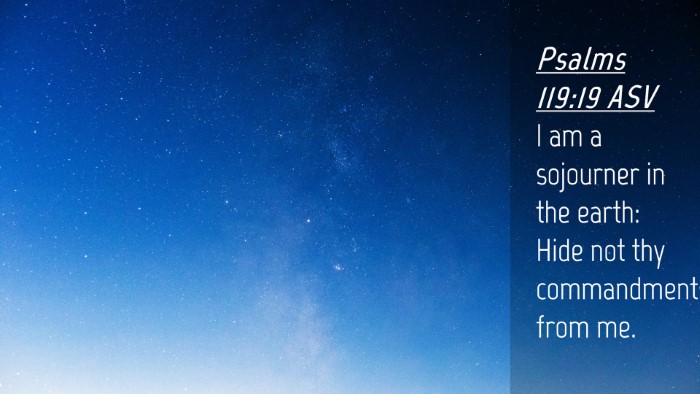 Picture 04 - Psalms 119:19 ASV Desktop Wallpaper - I am a sojourner in the earth: Hide not thy - Desktop Bible Verse Wallpaper