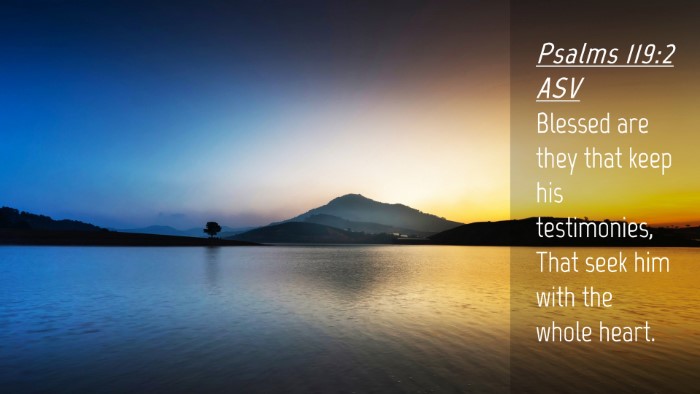 Picture 04 - Psalms 119:2 ASV Desktop Wallpaper - Blessed are they that keep his testimonies, That - Desktop Bible Verse Wallpaper