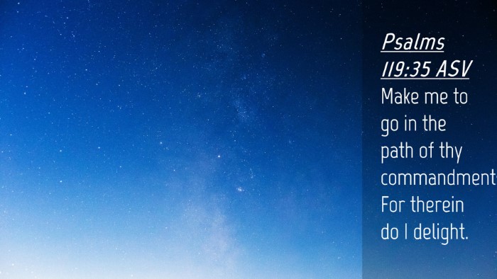 Picture 04 - Psalms 119:35 ASV Desktop Wallpaper - Make me to go in the path of thy commandments; - Desktop Bible Verse Wallpaper