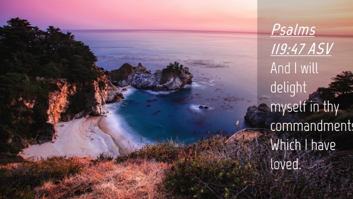 Picture 04 - Psalms 119:47 ASV Desktop Wallpaper - And I will delight myself in thy commandments, - Desktop Bible Verse Wallpaper