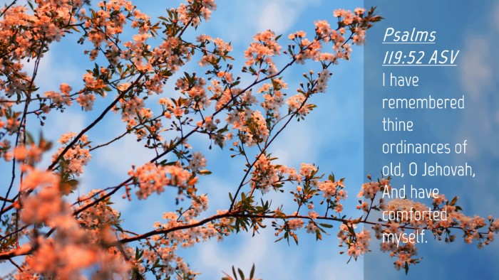 Picture 04 - Psalms 119:52 ASV Desktop Wallpaper - I have remembered thine ordinances of old, O - Desktop Bible Verse Wallpaper