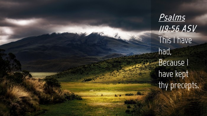 Picture 04 - Psalms 119:56 ASV Desktop Wallpaper - This I have had, Because I have kept thy - Desktop Bible Verse Wallpaper