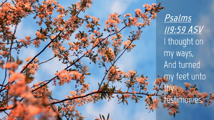Picture 04 - Psalms 119:59 ASV Desktop Wallpaper - I thought on my ways, And turned my feet unto thy - Desktop Bible Verse Wallpaper
