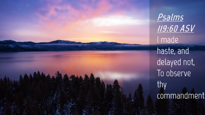 Picture 04 - Psalms 119:60 ASV Desktop Wallpaper - I made haste, and delayed not, To observe thy - Desktop Bible Verse Wallpaper